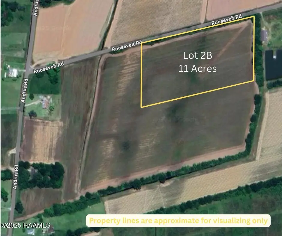 Roosevelt Road, Maurice, LA 70555 - Image #1