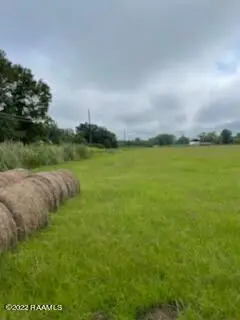 Dupre Road #Tract 2, Opelousas, LA 70570 - Image #2