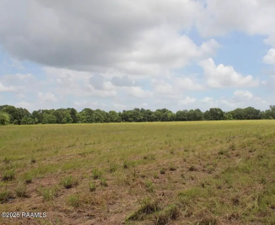 4108 Captain Cade Road, Youngsville, LA 70592 - #3