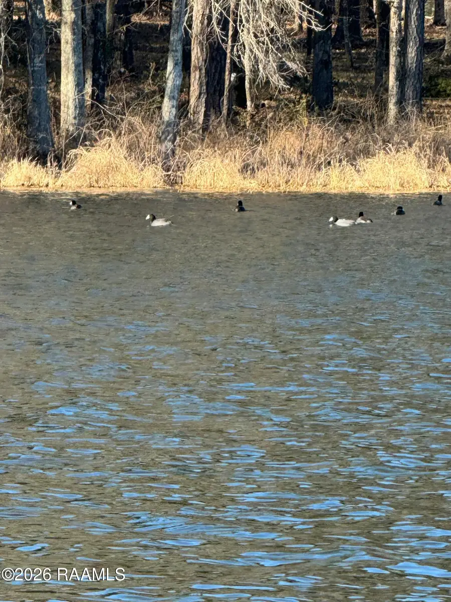 Lot 4 Ramsey Road, Chatham, LA 71226 - #3