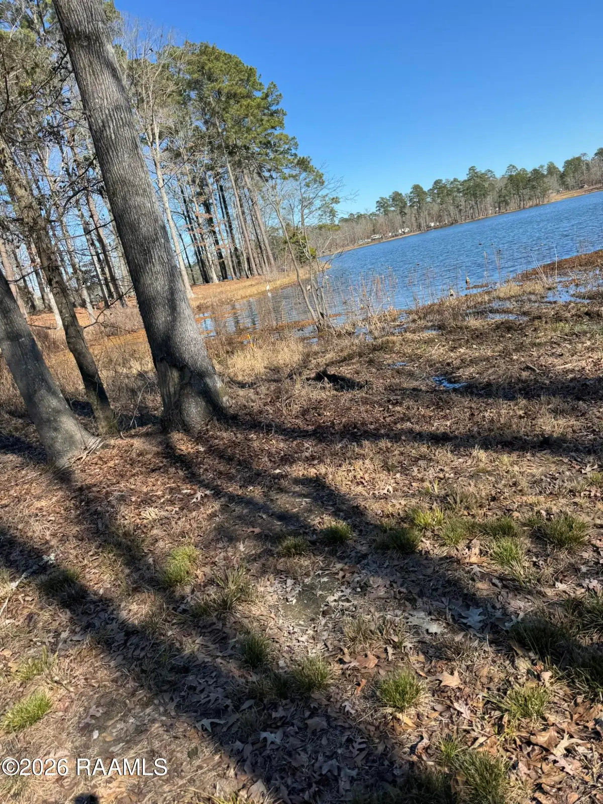 Lot 12 Ramsey Rd, Chatham, LA 71226 - #1