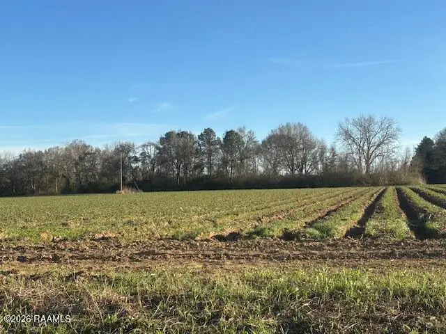 S Hospital Drive, Abbeville, LA 70510 - #2