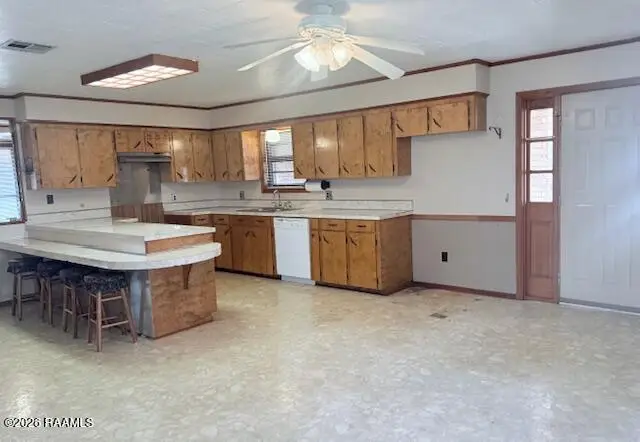 224 Leonie, Church Point, LA 70525 - #2