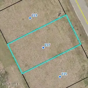 217 Laurelwood Drive, Lafayette, LA 70501 - #1