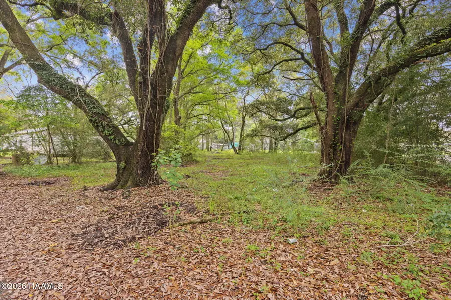 2403 W Schambers Street, Basile, LA 70515 - #2