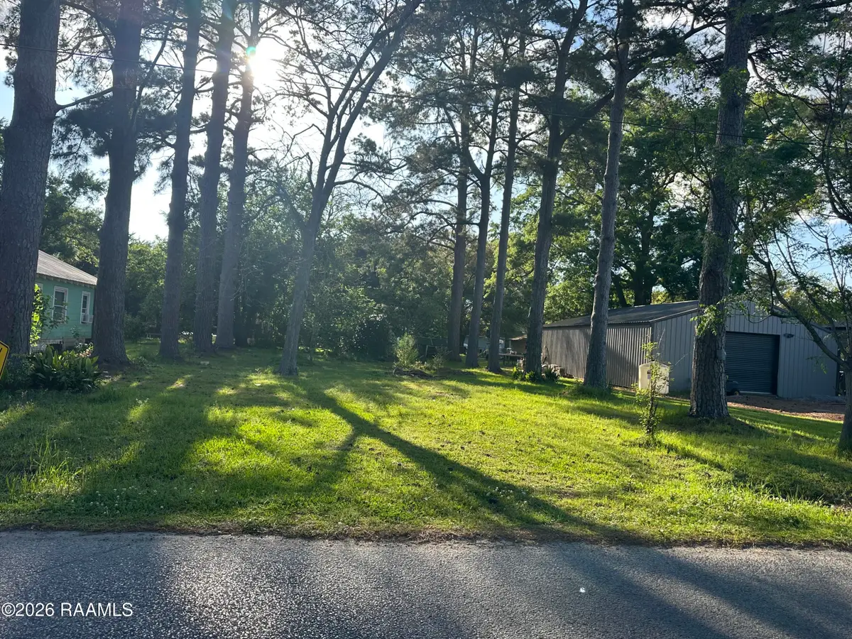 1224 S Lewis Avenue, Basile, LA 70515 - #1