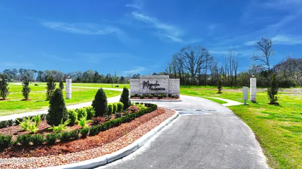 125 Bigleaf, Carencro, LA 70520