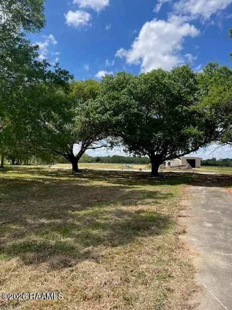 11628 Bamboo Road, Abbeville, LA 70510 - #3