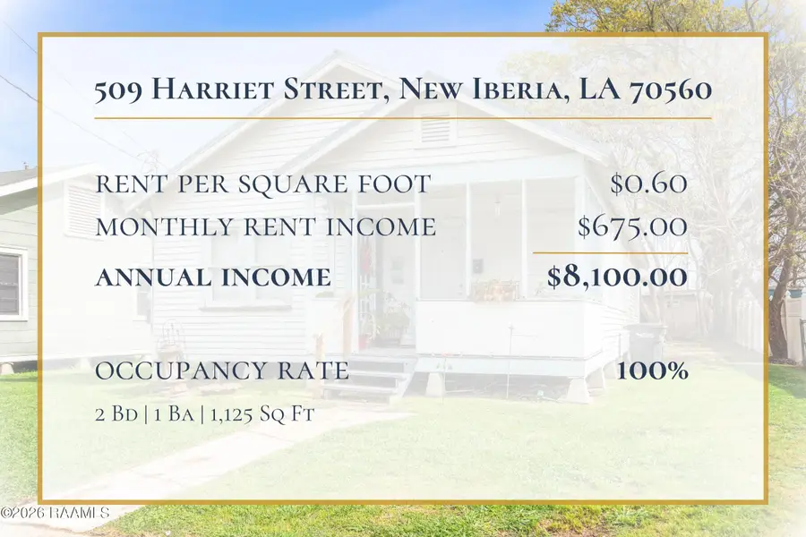509 Harriet Street, New Iberia, LA 70560 - #2