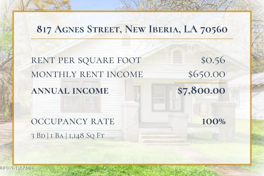 817 Agnes Street, New Iberia, LA 70560 - #2