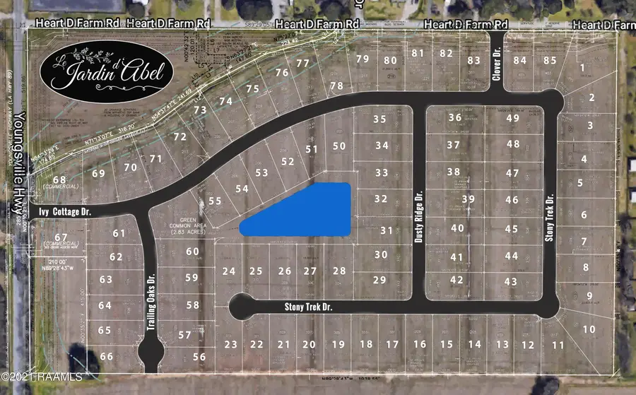 210 Ivy Cottage Drive, Youngsville, LA 70592 - #3