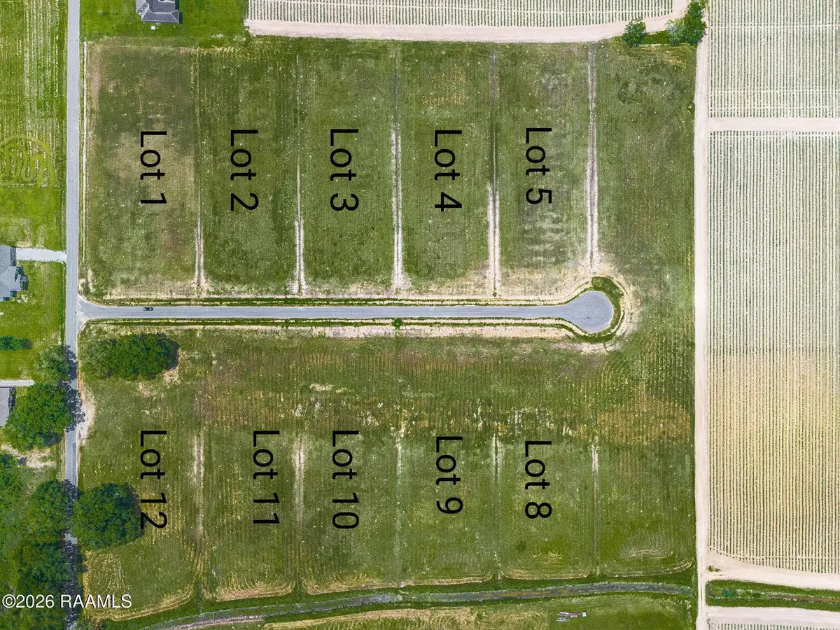 3908 Chemin Belle Terre, Maurice, LA 70555 - #1