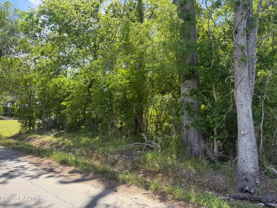Tbd Three Mile Avenue, Port Barre, LA 70577 - #3