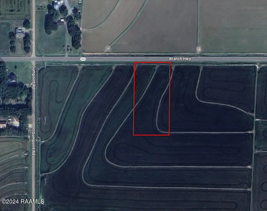 000 Branch Highway #Lot 4, Branch, LA 70516 - #1