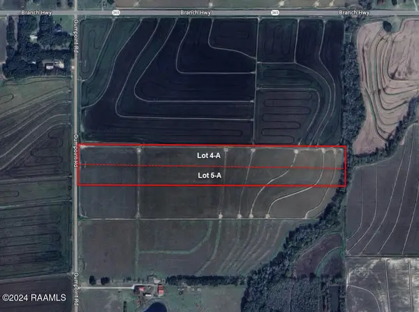000 Gumpoint Road #Lot 4-A, Branch, LA 70516