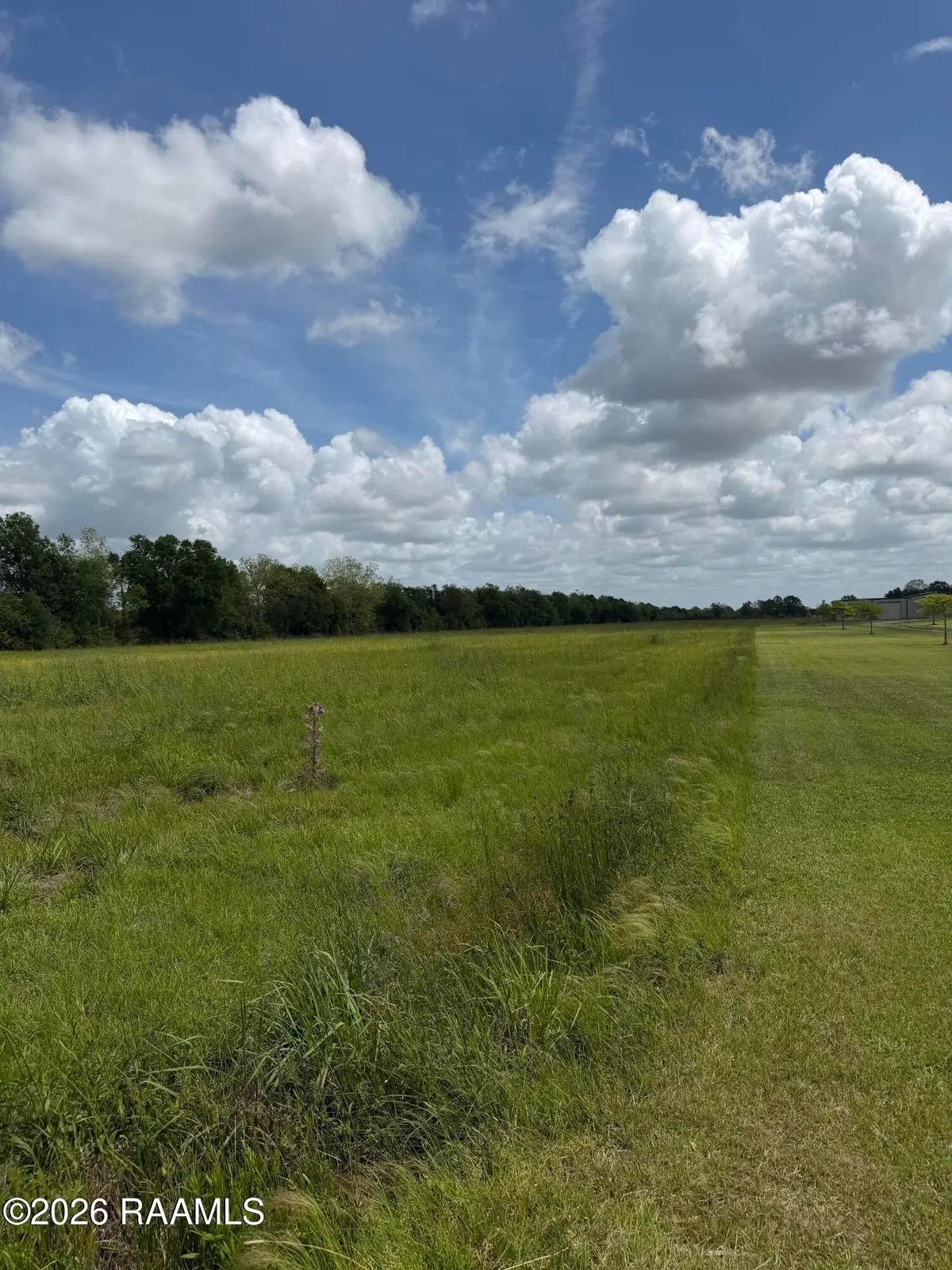 Tbd Roy Foreman Road, Maurice, LA 70555 - #1