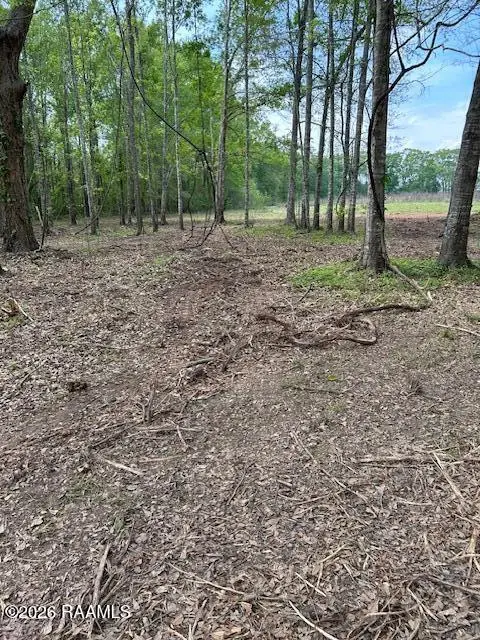 1808 Bushville Highway #Tract 5, Arnaudville, LA 70512