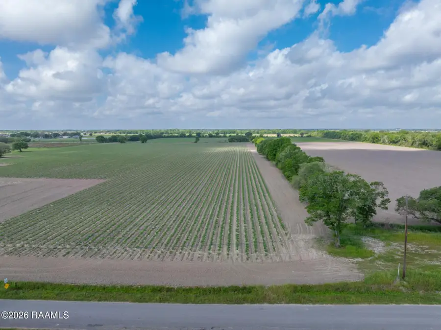 Tbd Leroy Road, Maurice, LA 70555 - #3