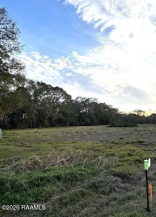 Tbd S Main Street Street, Breaux Bridge, LA 70517 - #2