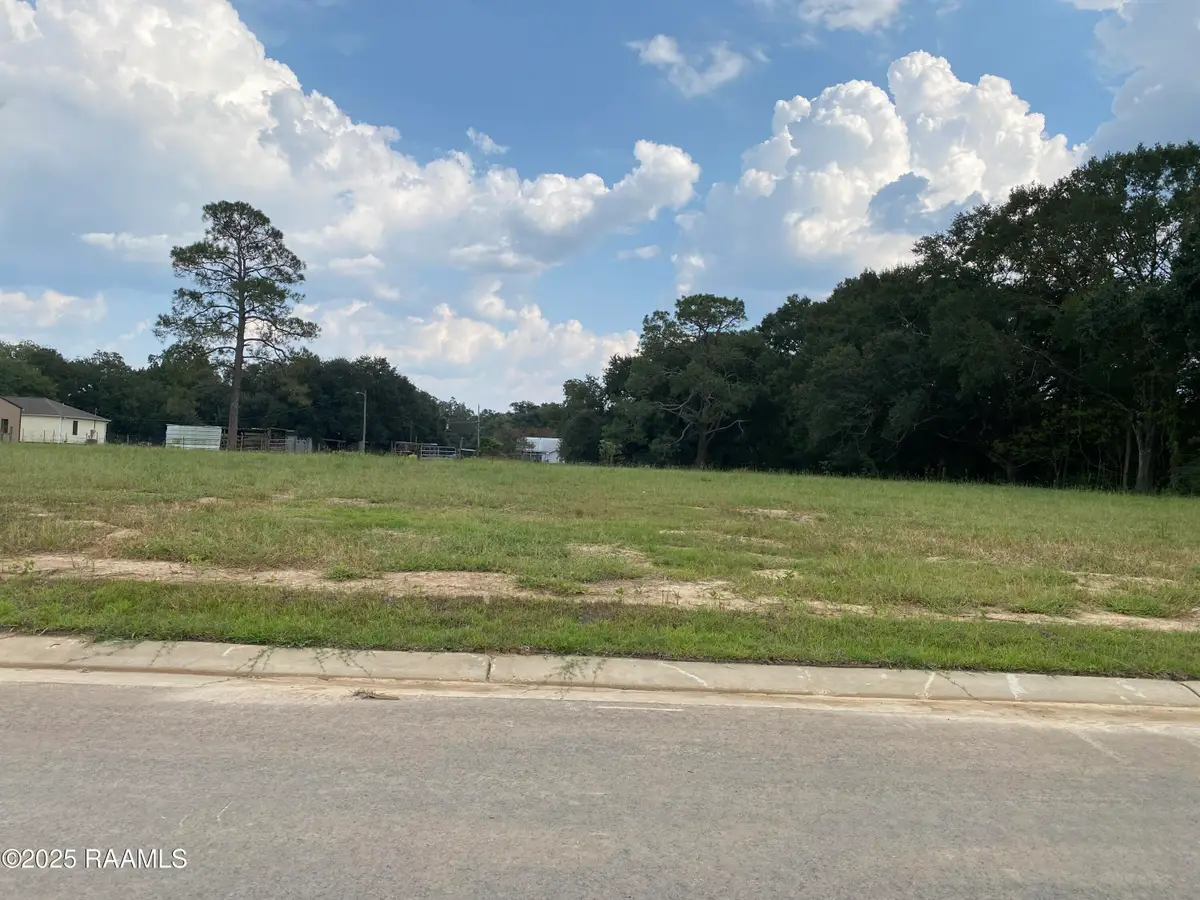 107 Birch Hill Drive, Lafayette, LA 70508 - #1