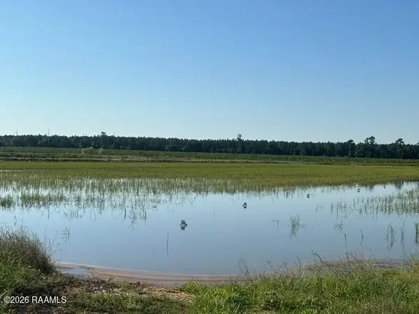 La Hwy 104, Oberlin, LA 70655