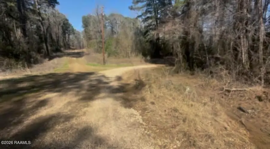 0002 Soileau Drive, Many, LA 71449 - #3
