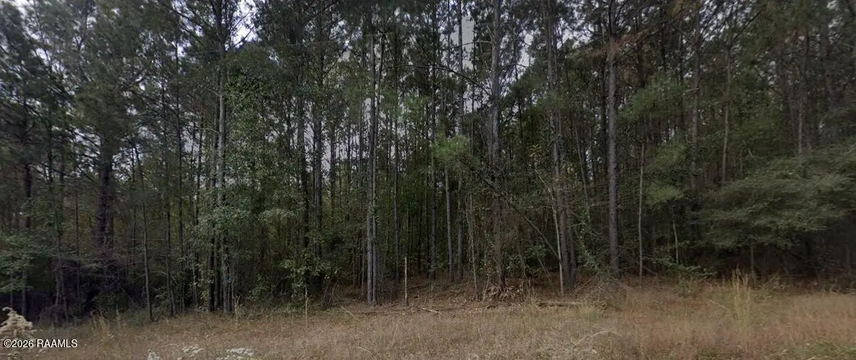 0001 Soileau Drive, Many, LA 71449 - #1