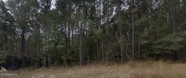 0001 Soileau Drive, Many, LA 71449