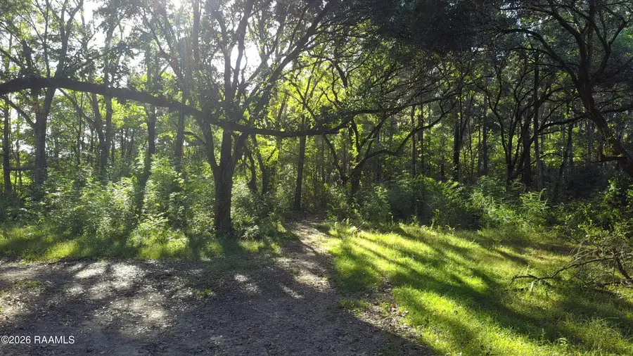 2081 Bayou Plaquemine Road, Rayne, LA 70578 - #3