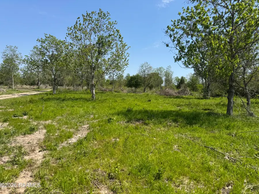 9712 Romules Road, Kaplan, LA 70548 - #3