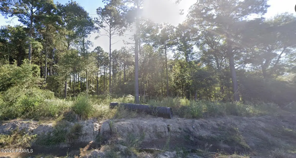 30156 Bornsdall Road, Elton, LA 70532 - #1