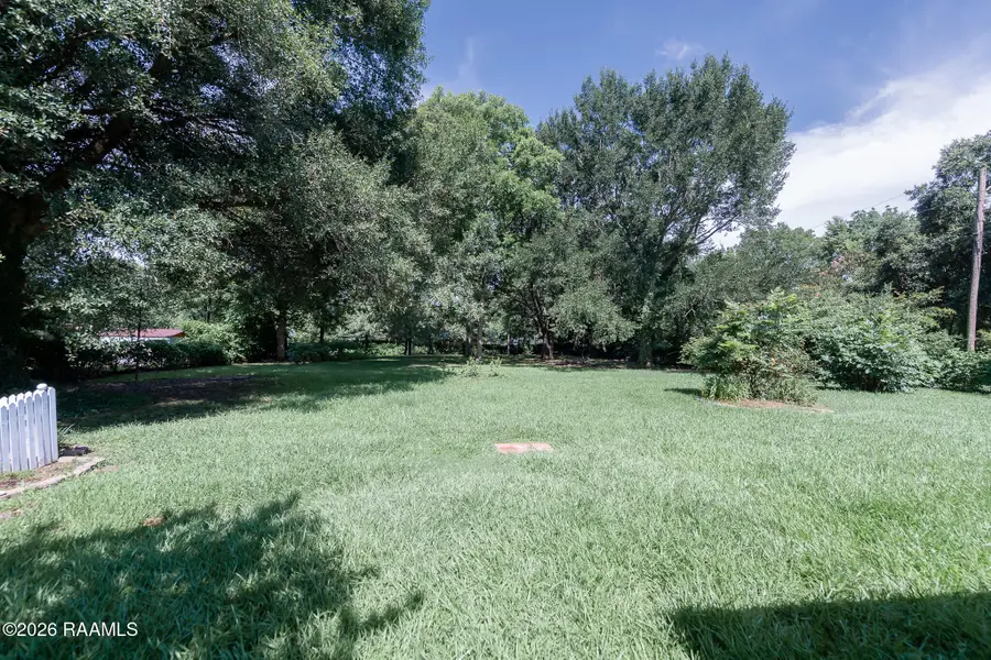 313 Colt Avenue, Ville Platte, LA 70586 - #3