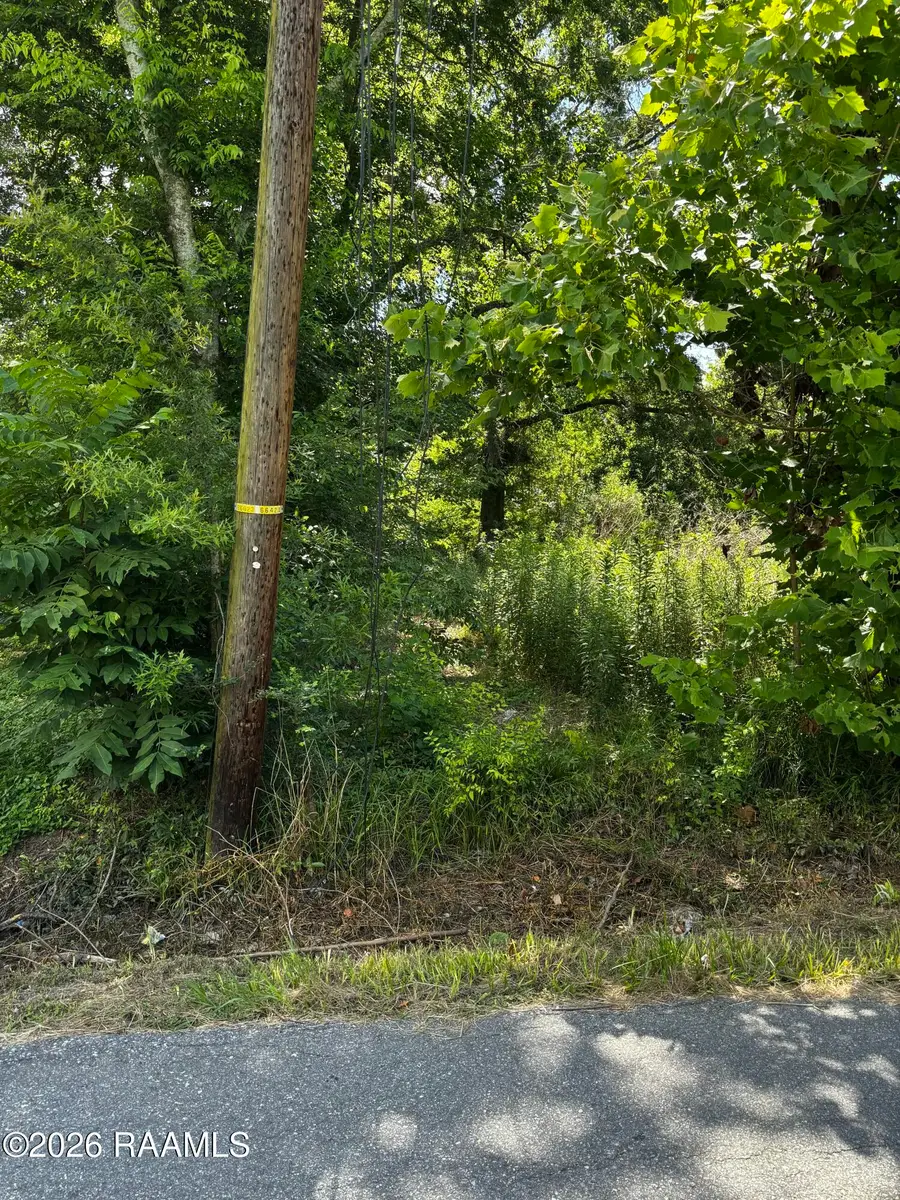 730 Carron Street, Eunice, LA 70535 - #2