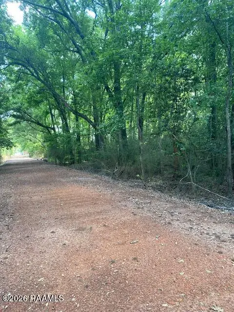 600 Blk Louis Arceneaux Road, Lafayette, LA 70507 - #3