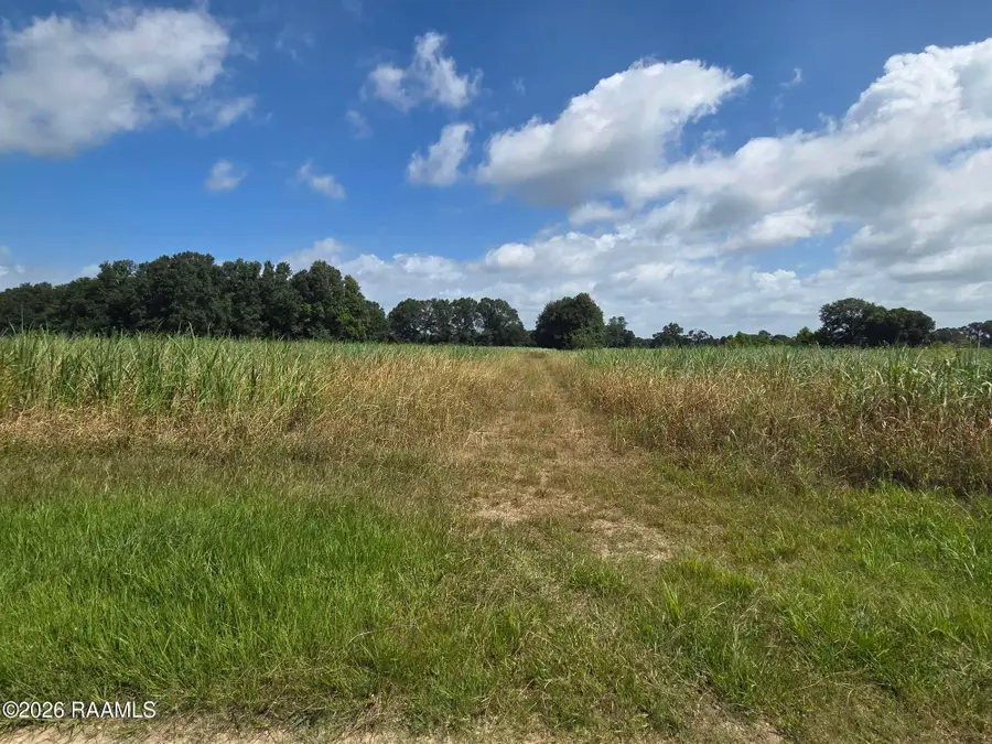 410 Roy Guidry Road, Youngsville, LA 70592 - #3