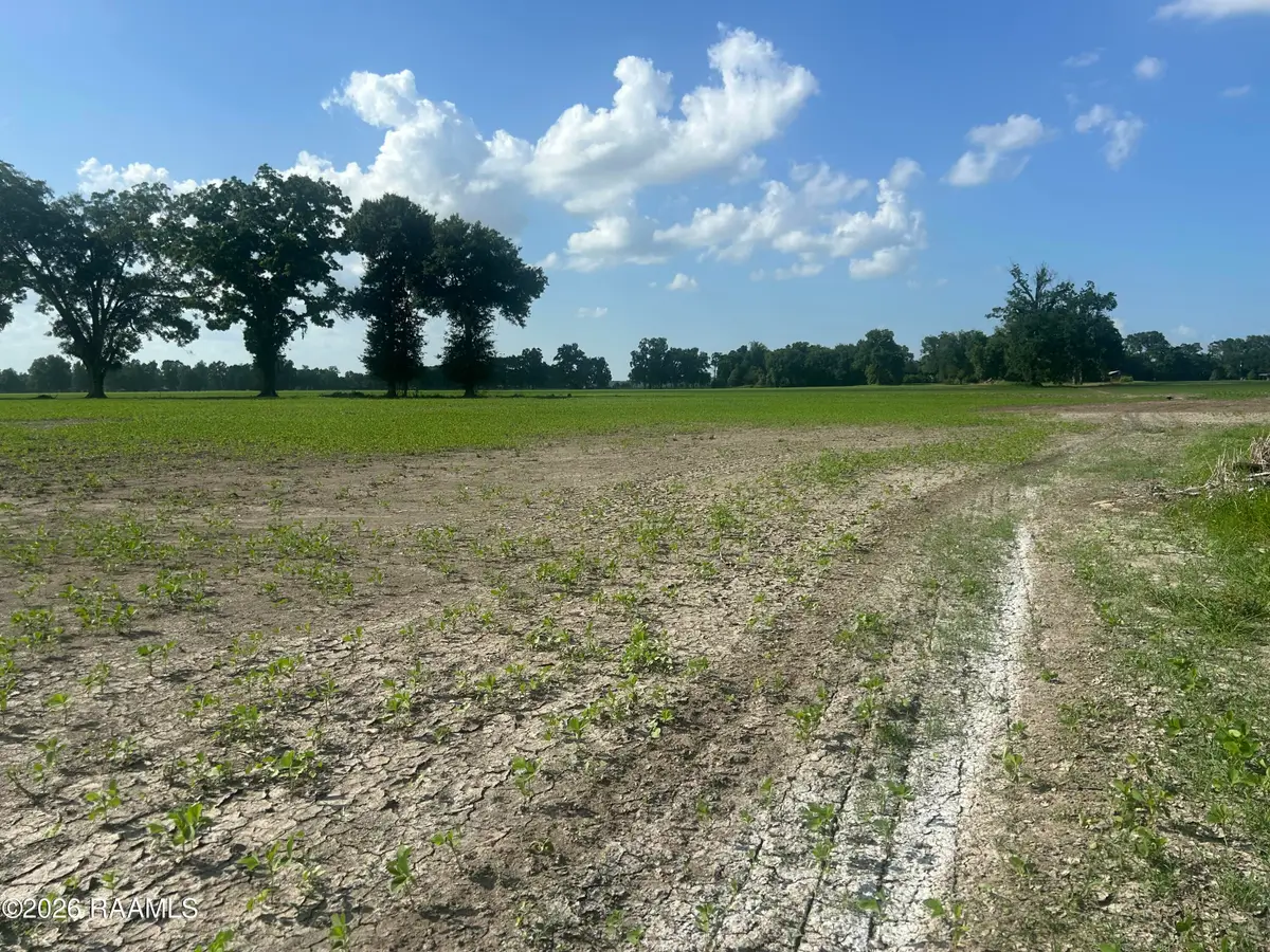 Oscar Rivette Road, Arnaudville, LA 70512 - #1