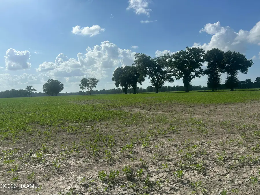 Oscar Rivette Road, Arnaudville, LA 70512 - #3