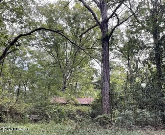 12829 Oakdale Road, Oakdale, LA 71463 - #1