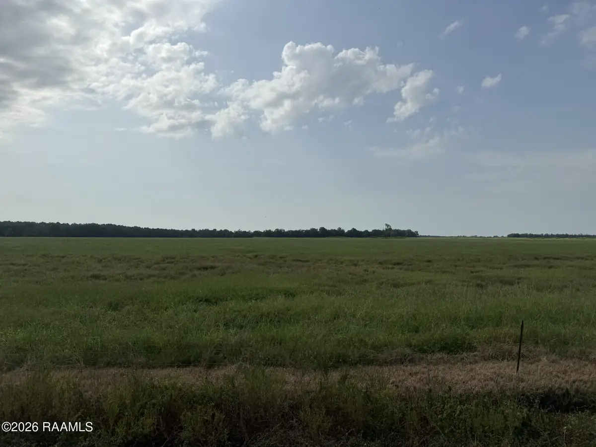 Tbd Whiteville-tract 11 Road, Ville Platte, LA 70586 - #1