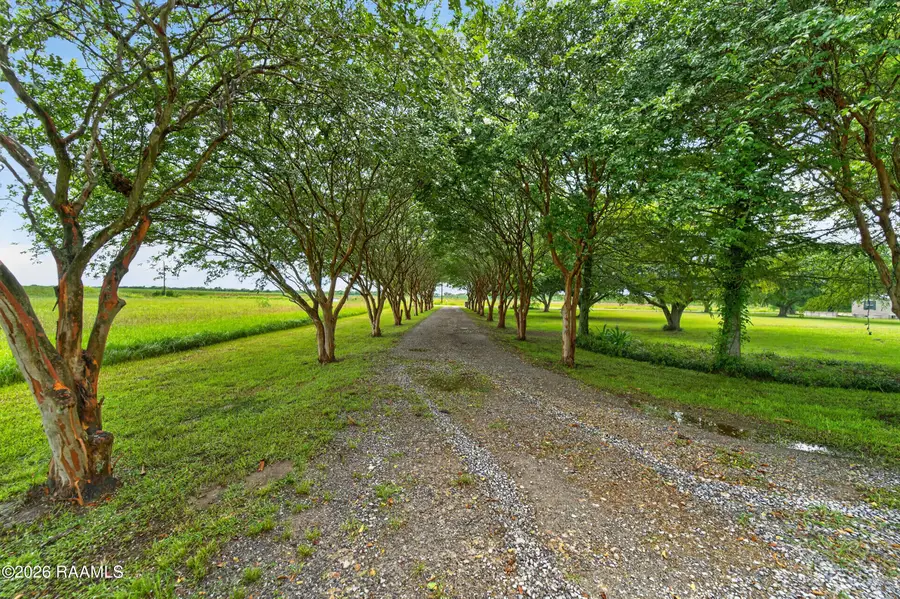 7437 Simeon Road, Kaplan, LA 70548 - #3
