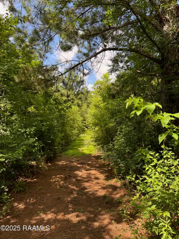 Tbd Lot 4 Frozard Road #4, Arnaudville, LA 70512