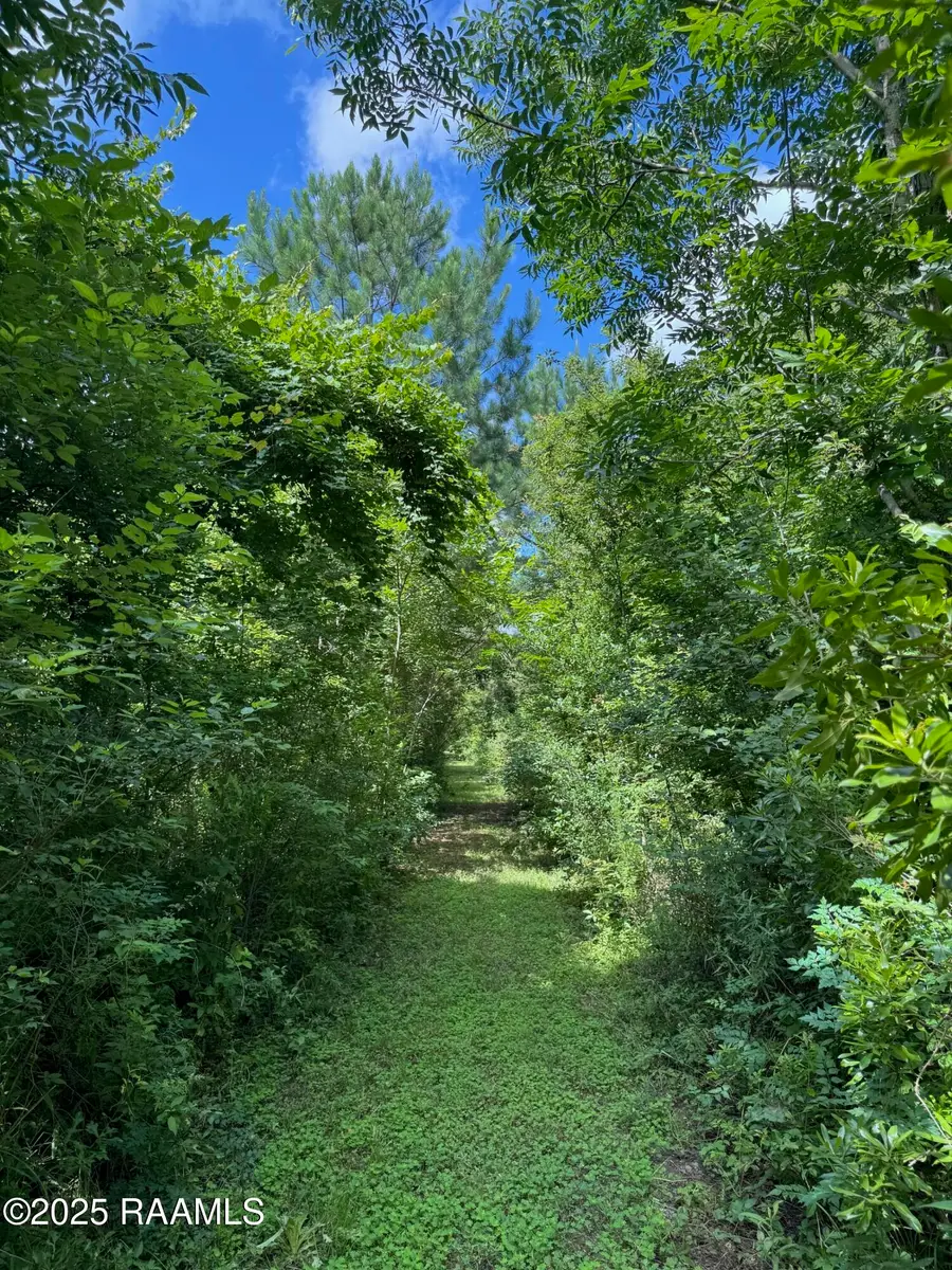 Tbd Lot 4 Frozard Road #4, Arnaudville, LA 70512 - #2