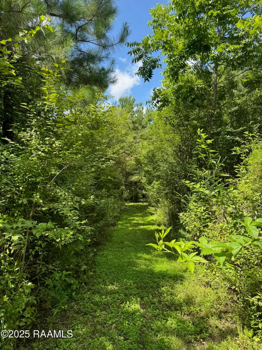 Tbd Lot 4 Frozard Road #4, Arnaudville, LA 70512 - #3