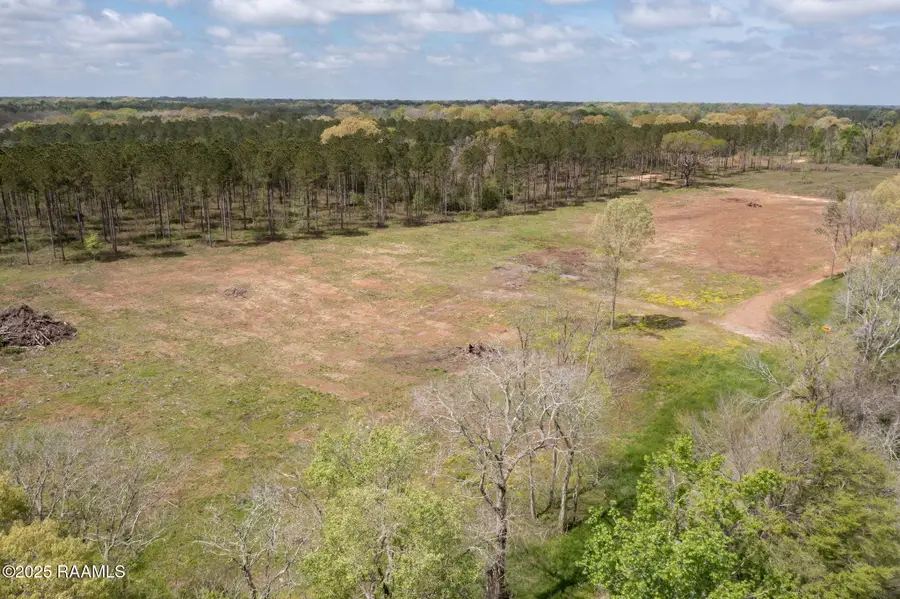 Tbd La Hwy 103 Lot 3, Washington, LA 70589 - #3