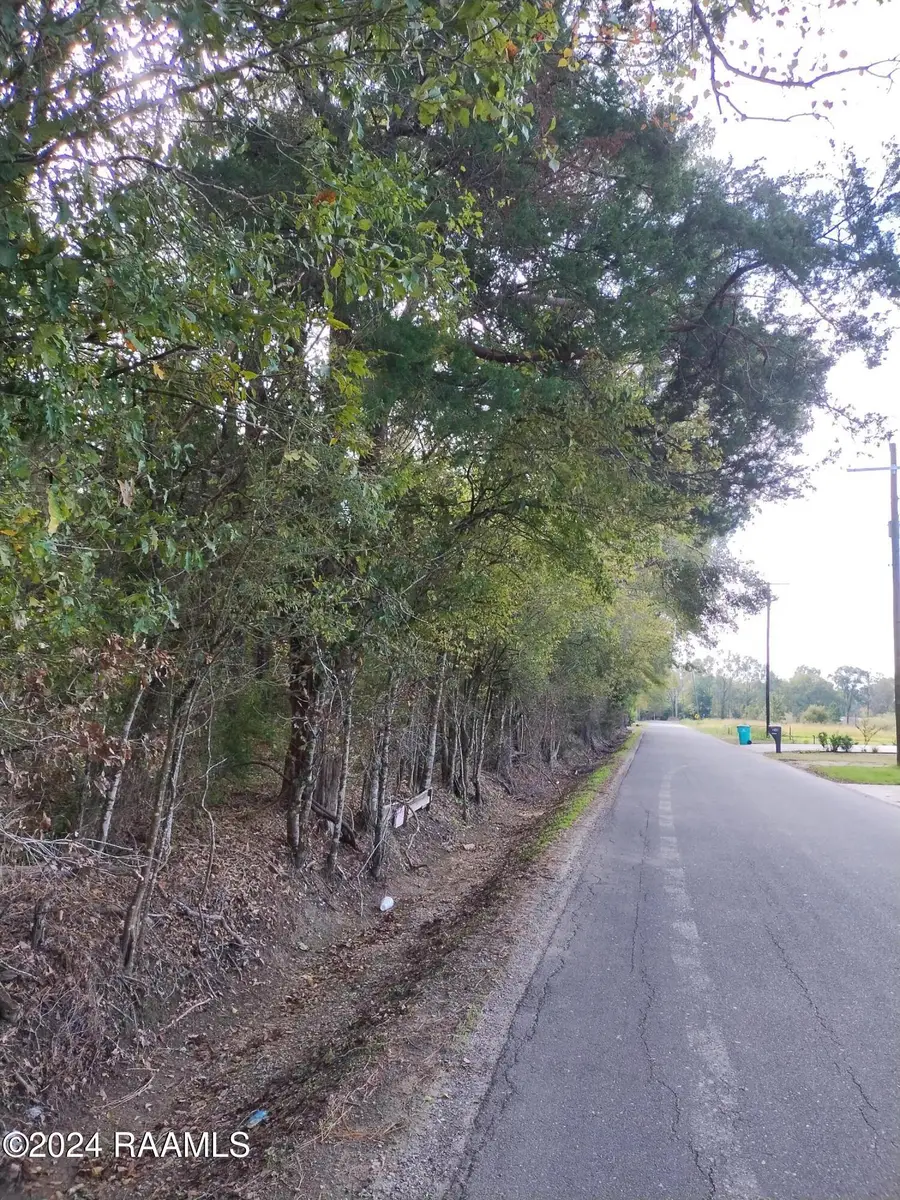 Tbd Meche Road, Arnaudville, LA 70512 - #3