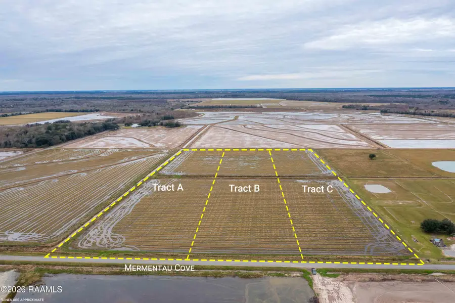 Tract C Vincent Road, Mermentau, LA 70556 - #2