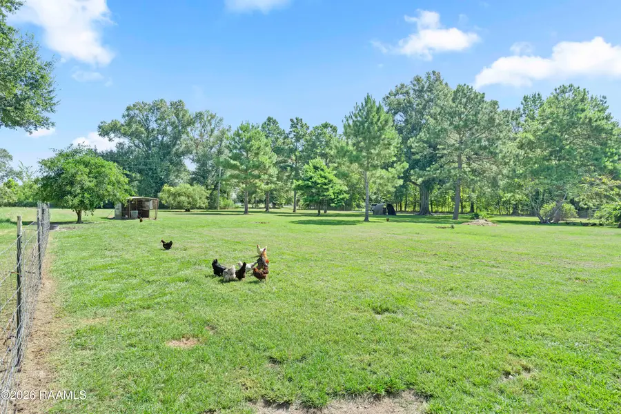 207-A Marie Road, Church Point, LA 70525 - #3