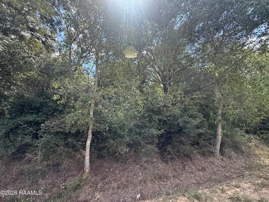 Galou Lake Road, Mamou, LA 70554 - #2