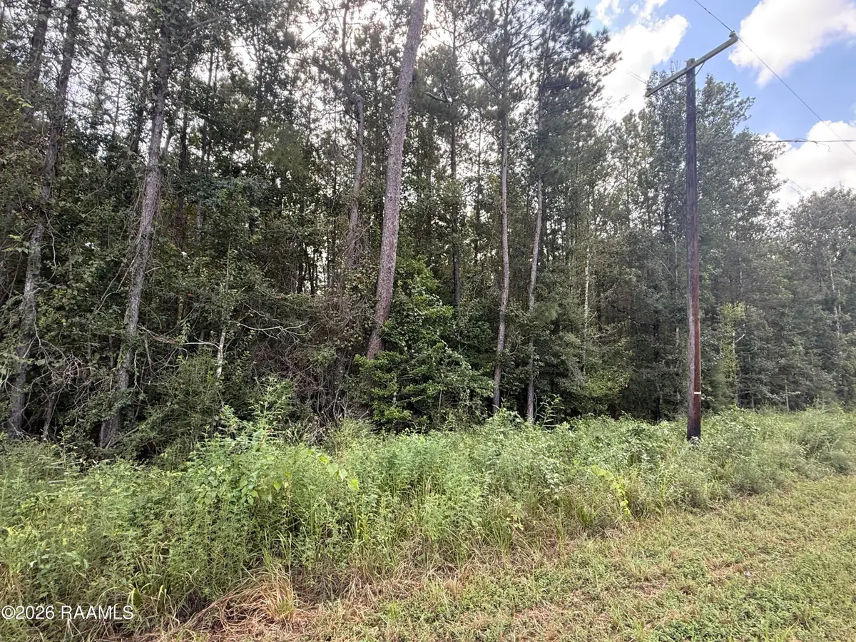 Leman Road, Ville Platte, LA 70586 - #1