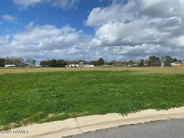 310 Stony Trek Drive, Youngsville, LA 70592 - #1